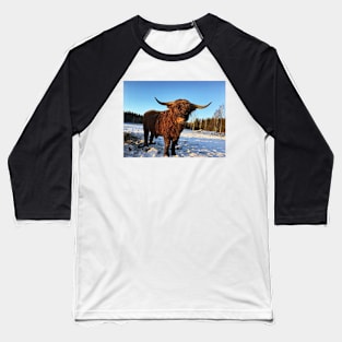 Scottish Highland Cattle Bull 2262 Baseball T-Shirt